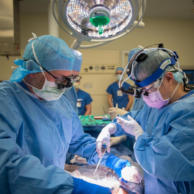 Surgeons performing transplant surgery