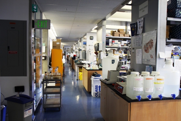 lab hallway