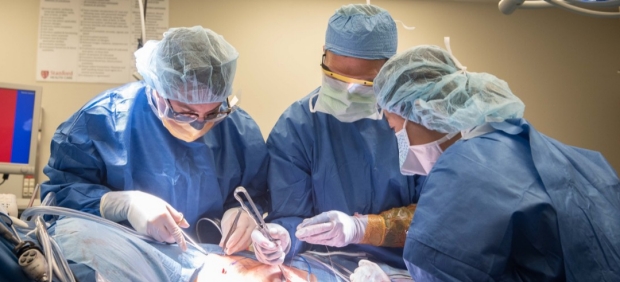 Surgeons perform a transplant.
