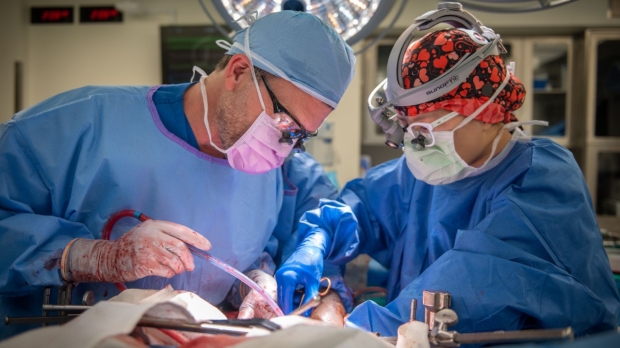 Stanford Transplant Surgeon Dr. Marc Melcher and Fellow Dr. Jenny Pan
